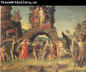 Andrea Mantegna Mars and Venus Known as Parnassus (mk05)